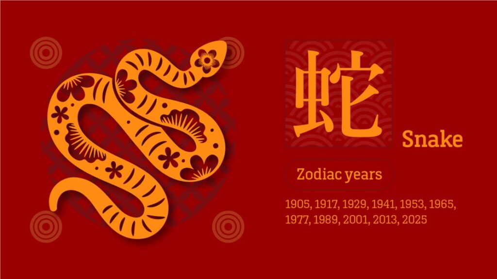 06 Chinese zodiac snake