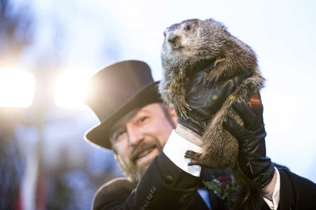 Punxsutawney Phil is held up by his handler for the crowd to see during the ceremonies for Groundhog day in 2018 in Punxsutawney, Pennsylvania.